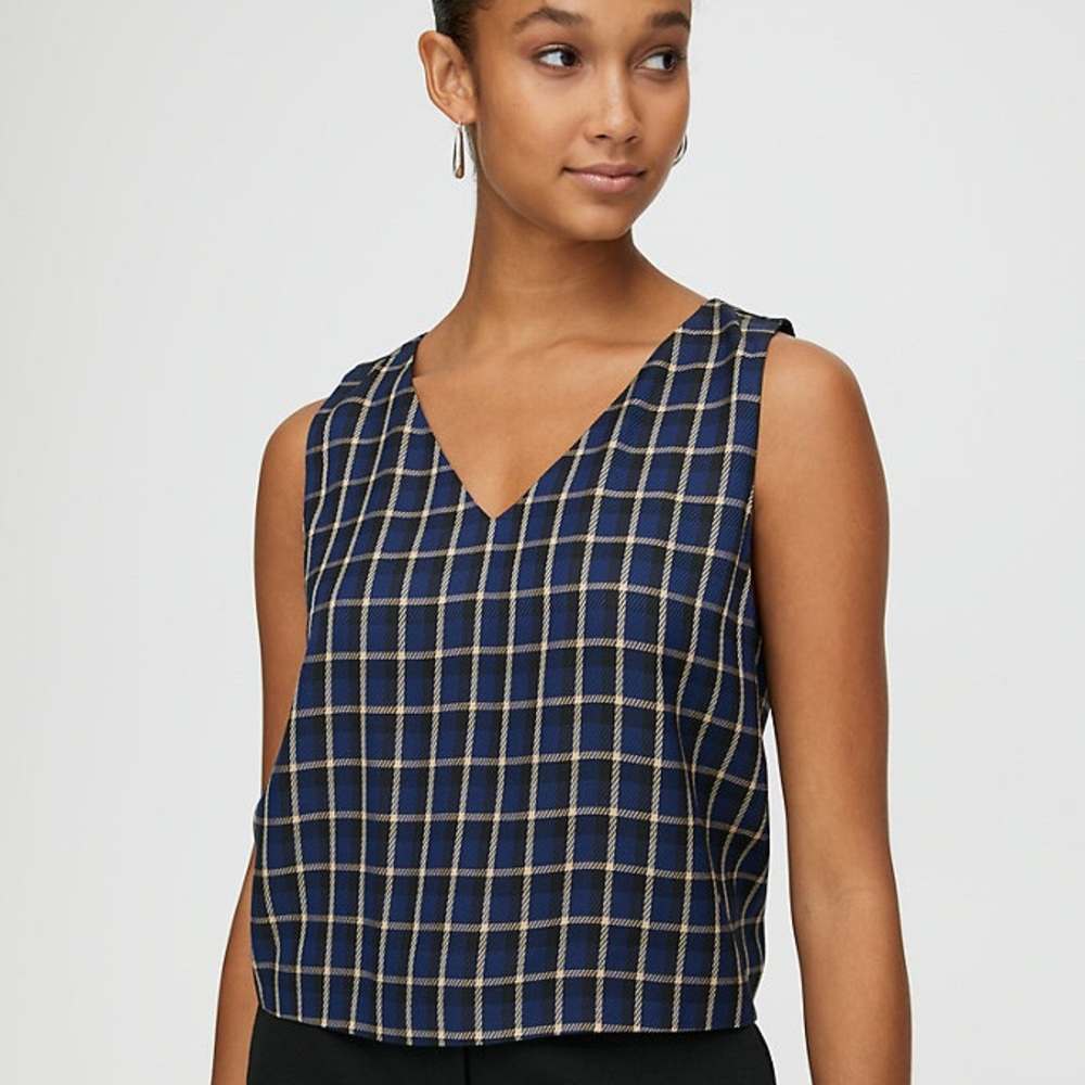 Aritzia Babaton Murphy blouse